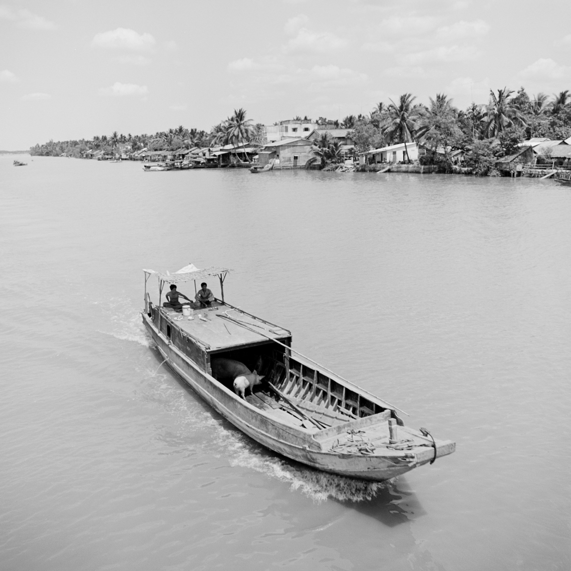 Vietnamese River Transport